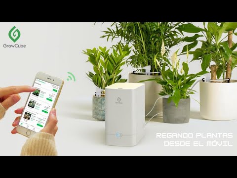 Growcube, el dispositivo que detecta la humedad de las plantas y las riega