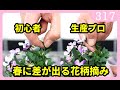 【生産プロの技】プロのパンジービオラの花がら摘みのやり方知ってますか？ by 園芸チャンネル 317 園芸 ガーデニング 初心者