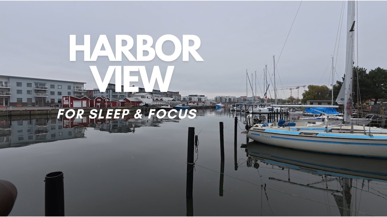 Peaceful Marina with Gentle Water Sounds | Relaxing Harbor View for Sleep & Focus
