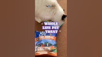 Charlie the Ragdoll: Puzzle Toy Pro! 😻