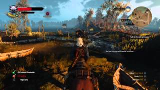 The Witcher 3: WTF?!  Hilarious NPC Dialogue