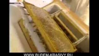 Цветочный мед видео польза цветочного меда