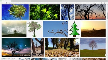 Finding Images with Pixabay *