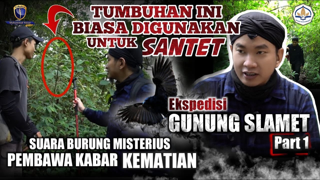 EKSPEDISI GUNUNG SLAMET | PART 1