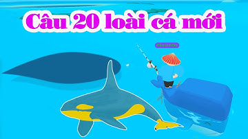 Play Together | Cách Câu 20 Loại Cá Mới |Nhà Táng Trắng Và Cá Voi Lưng Gù Trắng