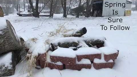 The Promise of Spring - Music Video