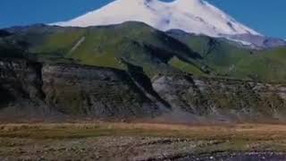 2020 Nin En Iyi Dengbej Resimi