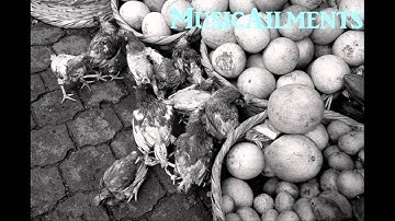 Floating Points Ensemble - Almost in Profile HD