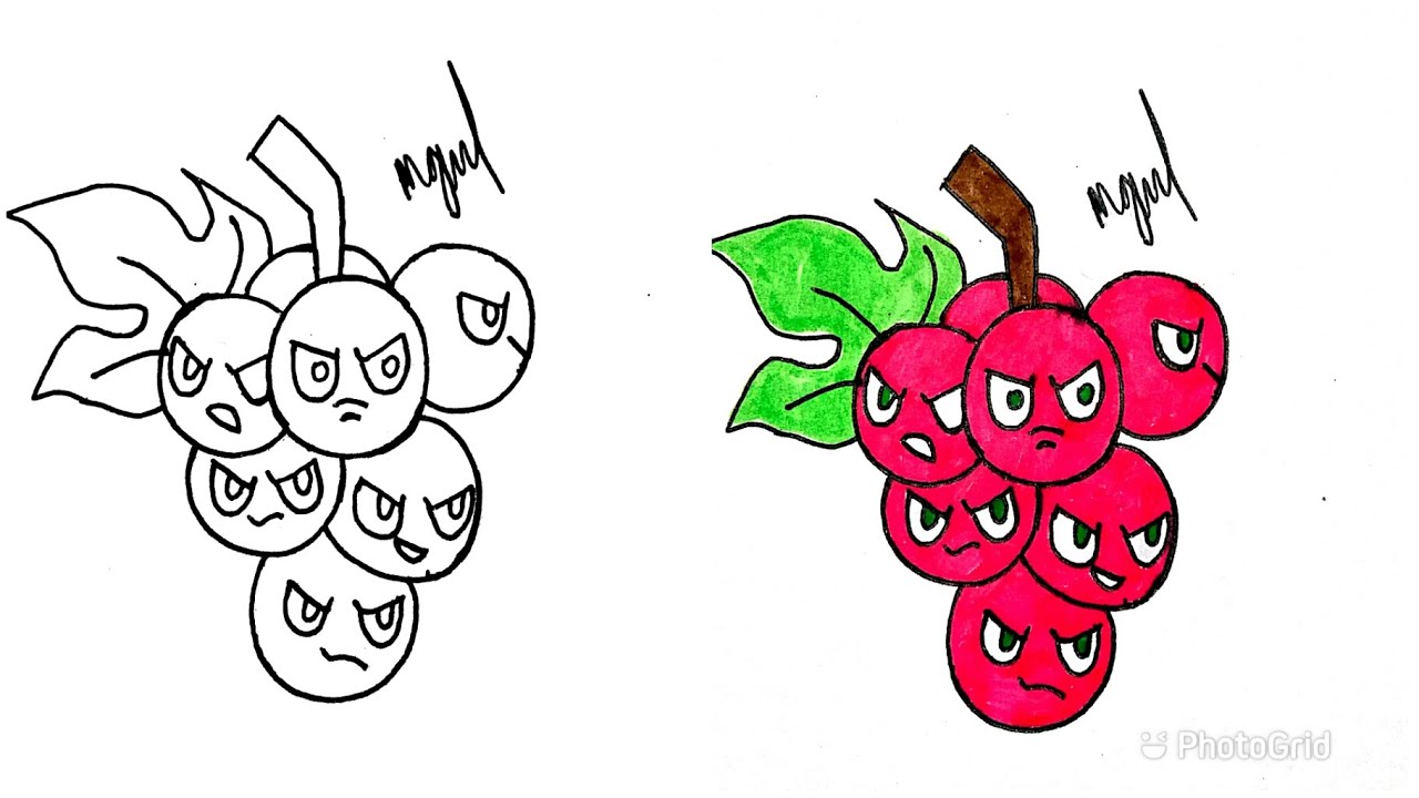 HOW TO DRAW GRAPESHOT FROM PLANTS VS ZOMBIES 2 YouTube