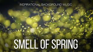 Free Music / Inspirational Cinematic Background Music For Videos / Smell Of Spring