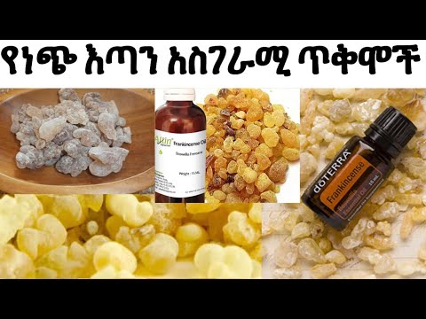 ቪዲዮ: የዱር እንጨት ነጭ ሽንኩርት እንክብካቤ - ራምሰንን በአትክልቱ ውስጥ እንዴት እንደሚያሳድግ