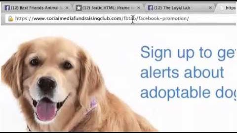 How to use Facebook Custom Tab to embed a Webpage