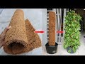 Thảm xơ dừa + lá trầu bà, hãy thử cách này | Coir mats + money plant, try this