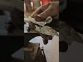 Watch This Rusty Metal TRANSFORM into a Sharp Knife! #shorts