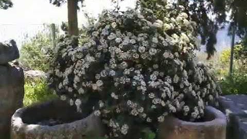 Δελφοί Ομφαλός της γης  Delfi Omfalos tis gis anna traveler