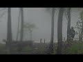 Yung Lean Waterfall Official Video Yung Lean Waterfall Official Video