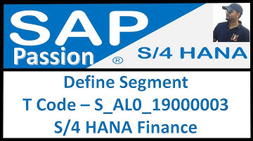 How to create a segment in SAP