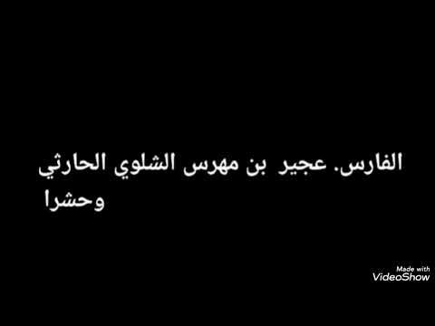 الفارس عجير بن مهرس الشلوي الحارثي