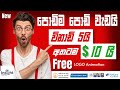 Get paid over 1000 per month by logo animation new remote job  from home  online money  sinhala