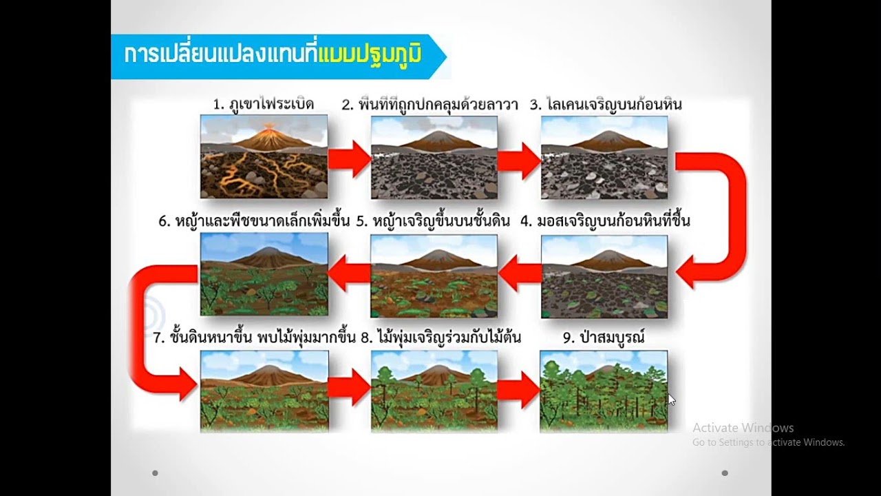 การเปลี่ยนแปลงแทนที่ของระบบนิเวศ