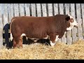 2023 WOLFE FARMS LOT 95K