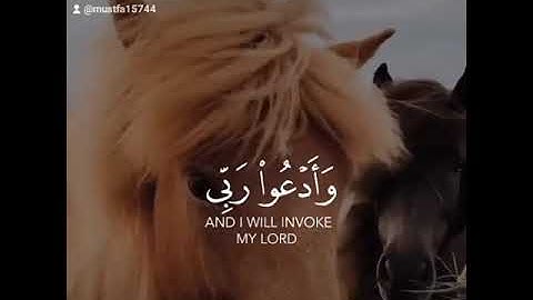 وأدعو ربي عسى الا اكون بدعاء ربي شقياء😍تلاوة هادئة 💜🌷.