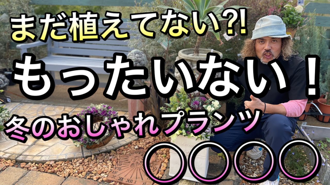 ぐっどな毎日様 リクエスト 2点 まとめ　スキミア　ペローサ　マジックマルロー 2025年最新】スキミア マルローの人気アイテム - メルカリ