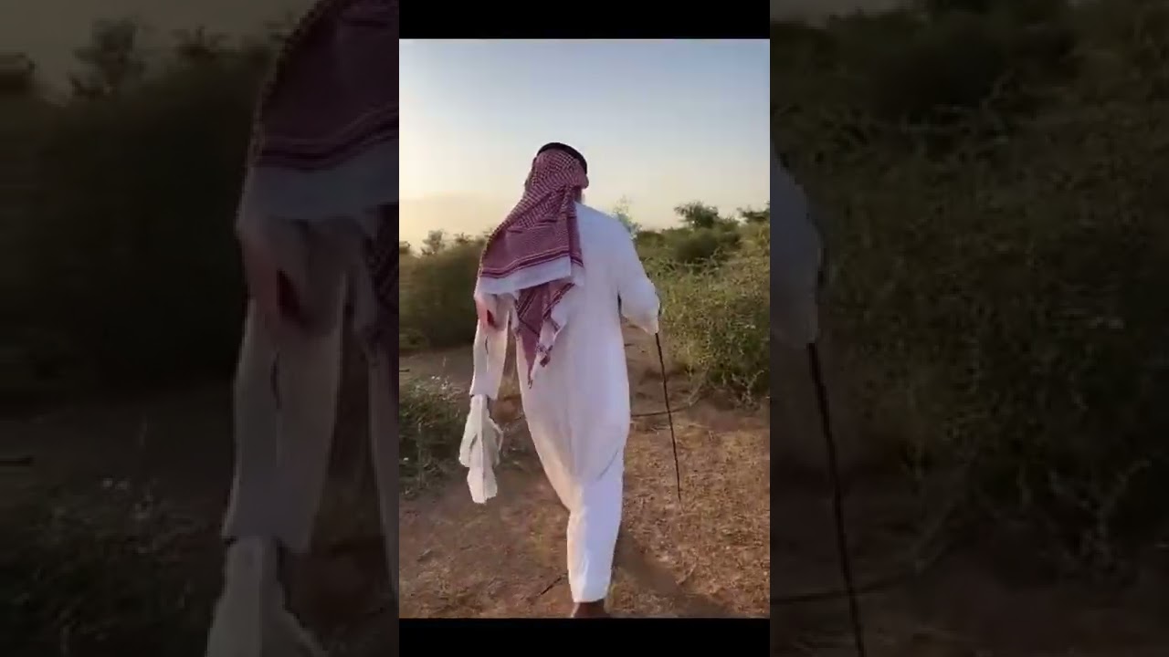 تغطية مشروع الجربوع لإكثار السدر والشفلّح