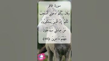 وقال ربكم ادعوني أستجب لكم | سورة غافر #دعاء_ورسالة
