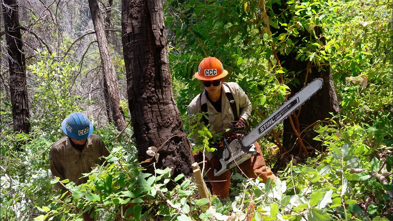 Salinas Forestry Crew Makes a Difference While Finding Career Paths