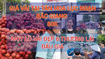 GIÁ VẢI TẠI-TÂN HOA-LỤC NGẠN BẮC GIANG
