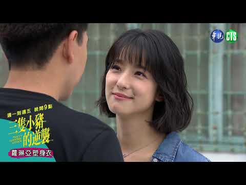 曉彤一句「我要當內人」 晉舟掉入狩獵陷阱囉｜三隻小豬的逆襲EP15 預告