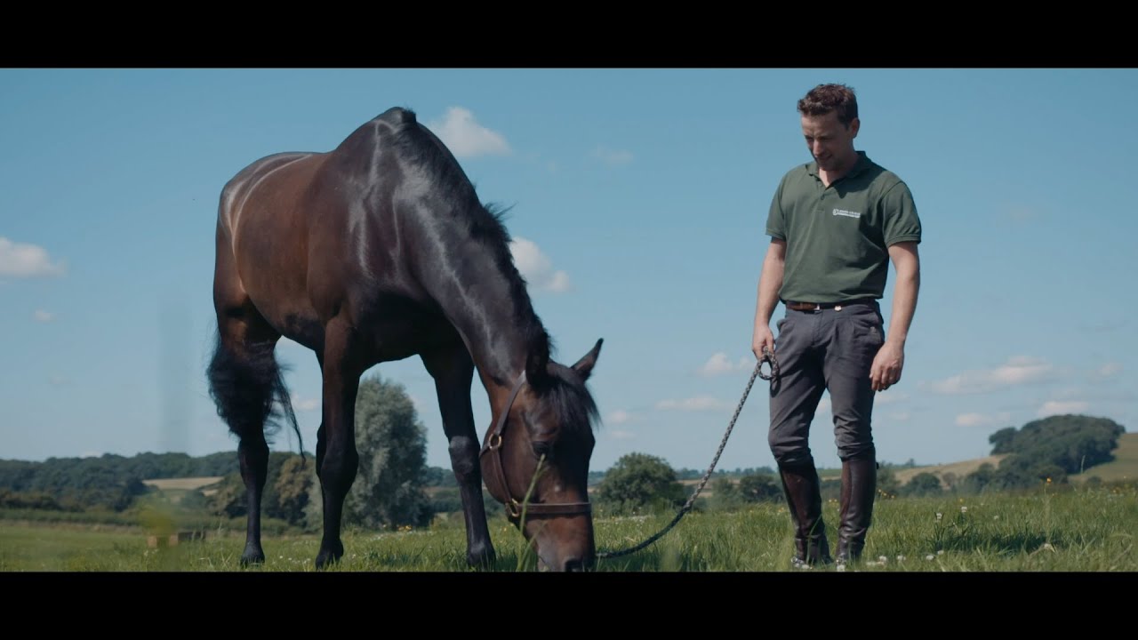Burghley Horse Trials 2019 Promo