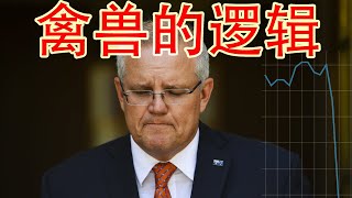 够了！面对中共贸易重压，澳洲民意倒逼总理！禽兽之国的禽兽逻辑 ！（坐澳观天第217期 20201130）