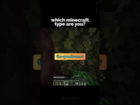 What Type Of Minecraft Player Are YOU? 😎