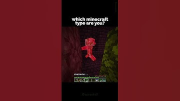 What Type Of Minecraft Player Are YOU? 😎