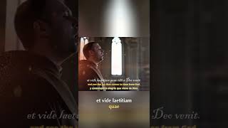 Ancient Mysteries: Unveiling Sacred Inscriptions &amp; Divine Calls #shorts