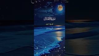 #suratinfal #surah #surat #quran #quranrecitation #ytshorts #youtube #whatsappstatus #allah #islam