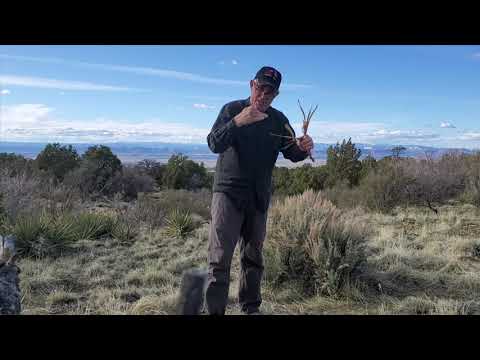 Steps and Cords | WinGate Wilderness Therapy