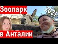 ЗООПАРК АНТАЛИЯ. Что посмотреть в Анталии? Турция 2021. анталия зоопарк