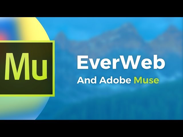 Without Code & Adobe Muse End of Life: Your Most Commonly Asked Questi