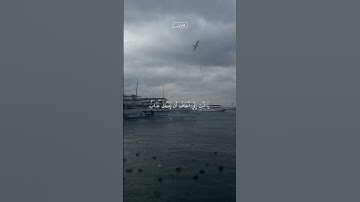 تلاوه هادئه جميله بصوت الشيخ ياسر الدوسري ارح سمعك #اكسبلور_فولو #ياسر_الدوسري