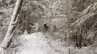 The Beast Known As Kiwakatan Wapia Wey Emerges Near Native Burial Ground (Video One)