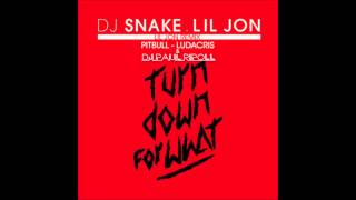 DJ Snake & Lil Jon-Turn down for what (DJ Paul Ripoll Remix) Feat Pitbull,Ludacris