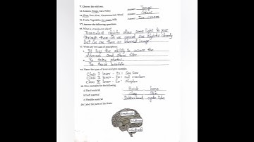 4th-EE-Term-1-Science-Summative Assessment-Answer key