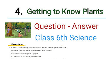 class 6 science getting to know plants question answer | ncert class 6th science chapter 4