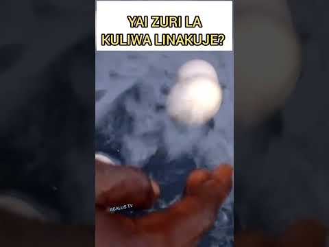 How To Identify Bad Vs Good Eggs Yai Bovu Na Zima