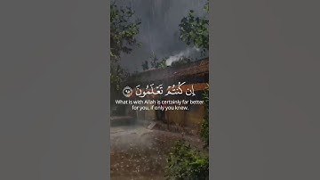 ولا تشتروا بعهد الله ثمنا قليلا | سورة النحل ماهر المعيقلي 💛🌾