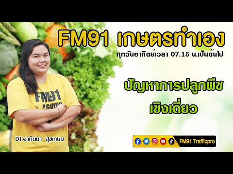 ปัญหาการปลูกพืชเชิงเดี่ยว : FM91 เกษตรทำเอง : 25 กรกฎาคม 2564