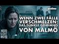 Ein Dieb, eine vermisste Mutter und ein furchtbares Verbrechen | Nordlichtmord | Podimo
